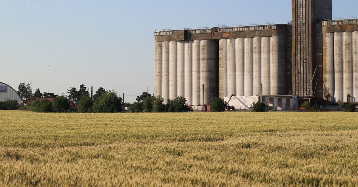 Industrial mill and processing environment